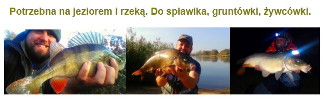 SZCZYPCE ZACISKOWE kleszcze stal chirurgiczna 20cm Marka inna