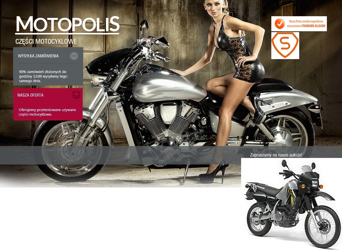 KAWASAKI KLR 650 ŚCIĄGACZ MAGNETA KOŁA MAGNESOWEGO EAN (GTIN) 5902738955100