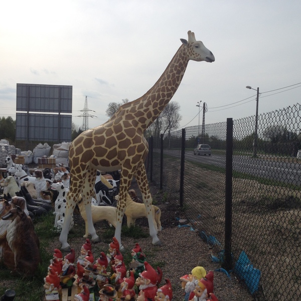 FIGURKA OGRODOWA - ŻYRAFA XXXL Kod producenta I74