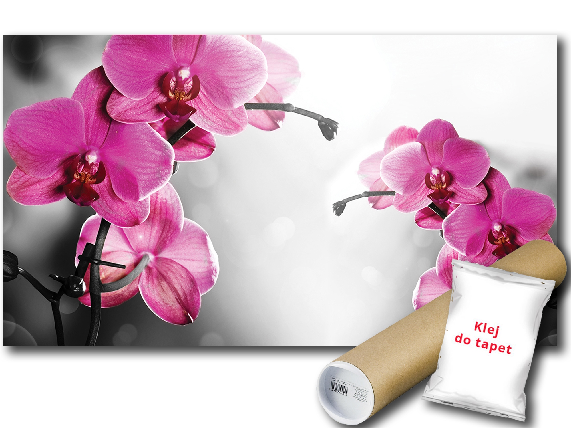 Fototapeta Růžové Orchideje 9D F3XL 416x254 F1034