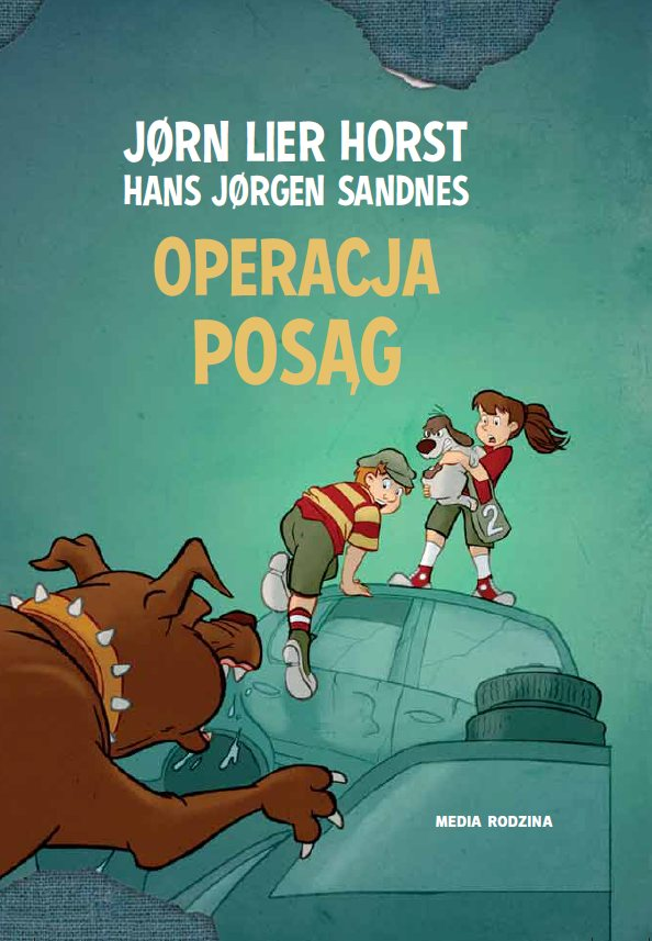 

Operacja posąg H. J. Sandnes, J. L. Horst