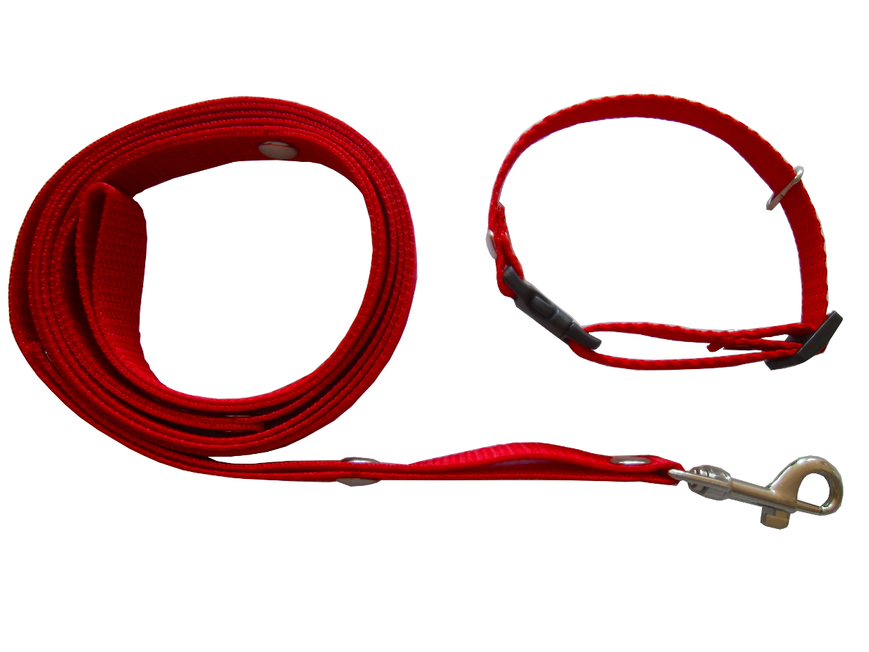 

Smycz +obroża Dla Szczeniaka 16-30 CM 30kol.