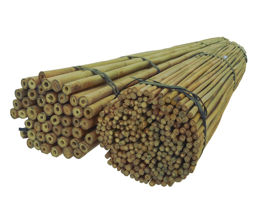 

Tyczki Bambusowe 180 cm 20/22 mm /10szt, bambus
