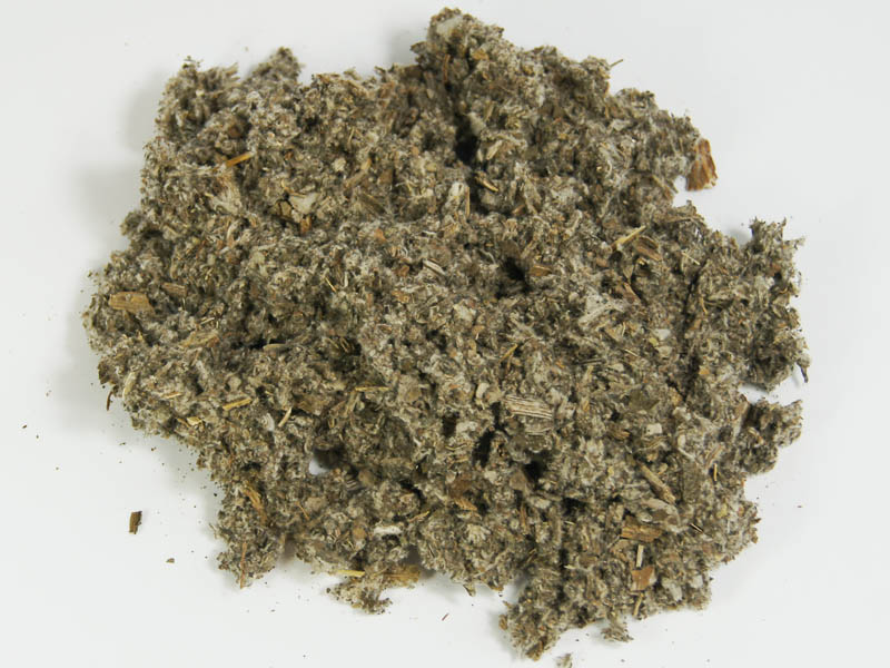 Levně Šalvěj Lékařská 5 Kg Z Podlasia Polska Loď