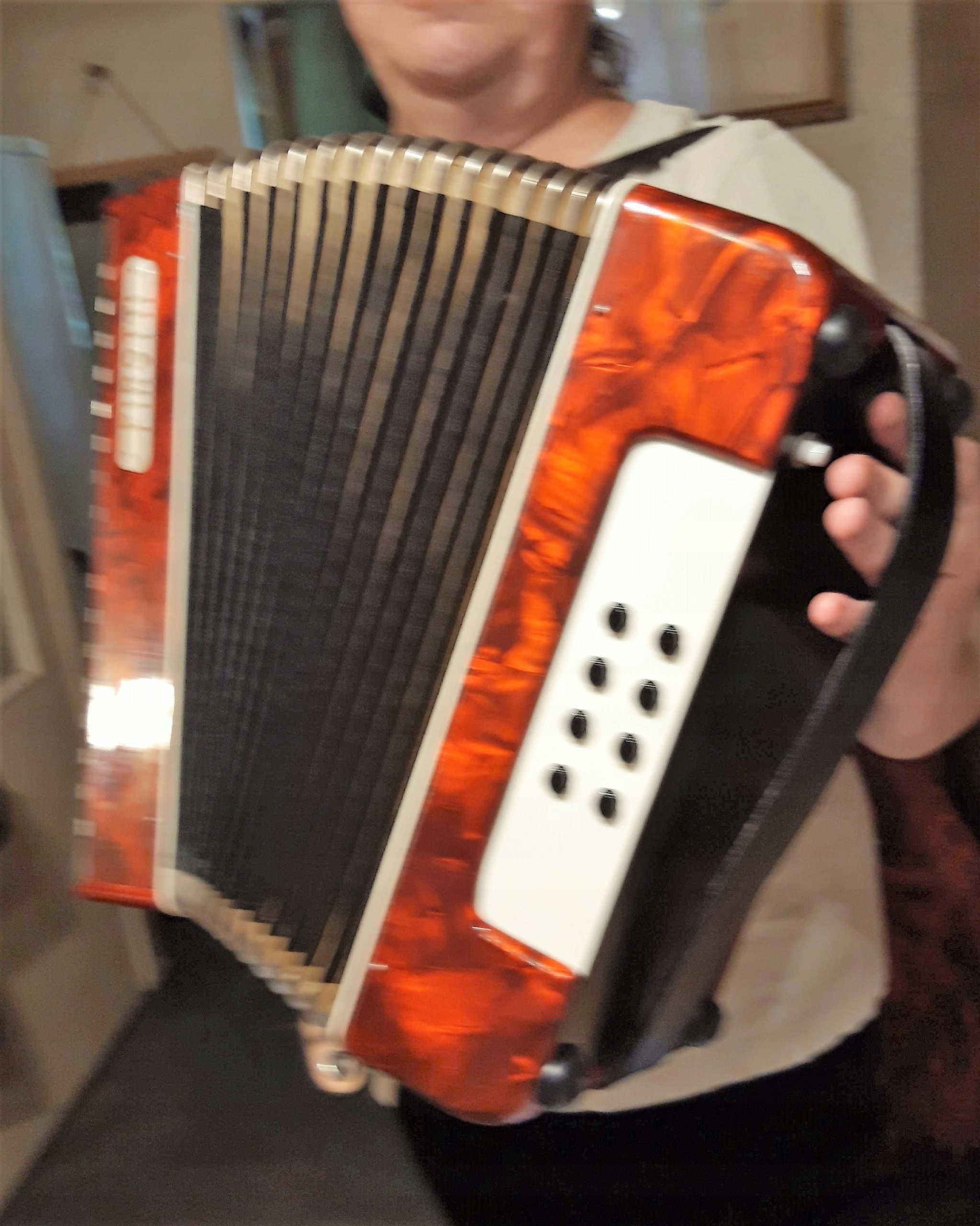 harmonia Firotti,instrument muzyczny, akordeon , 7582494719