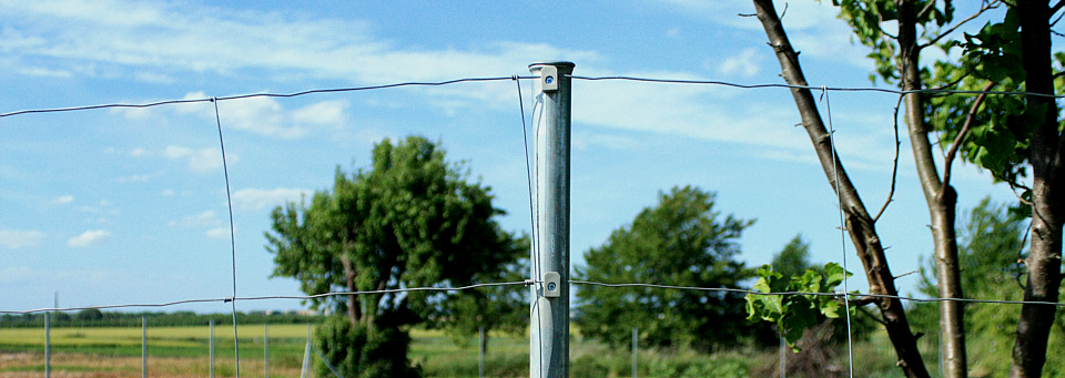 Przelotka do siatki drutu 100 szt. antracyt Producent inna