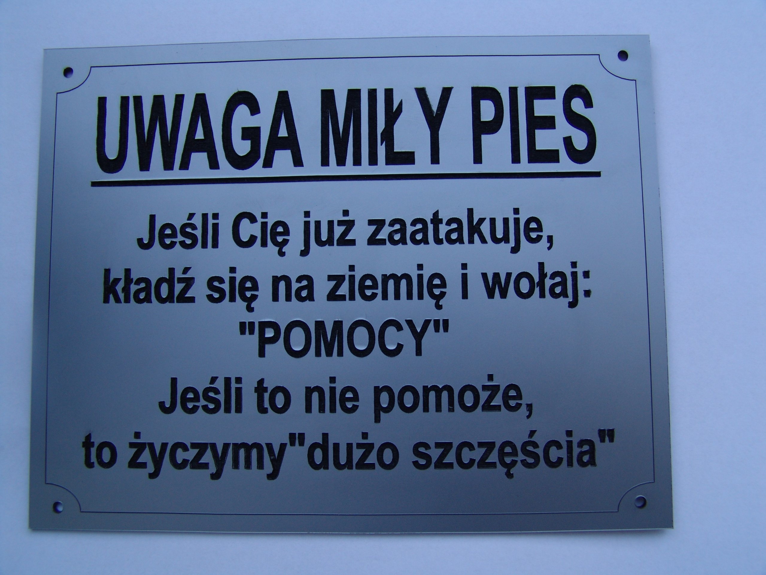 

tabliczka ostrzegawcza Uwaga pies!!!