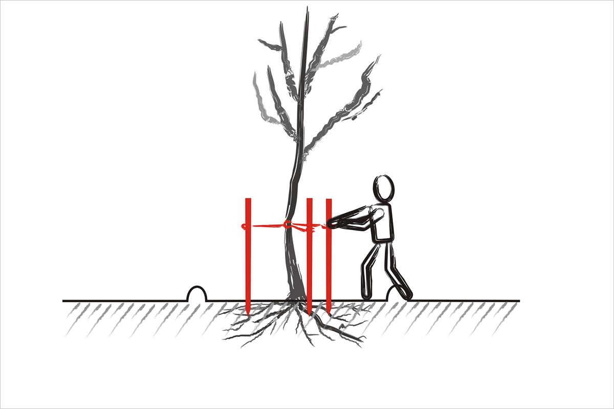 piling