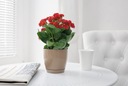 фото mini №3, Flowerpot lid toscana round 22 з stand form plastic - 4 colors