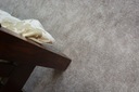фото mini №4, Carpet 400x450 serenade taupe smooth mild@76601