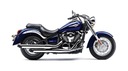 Защита охладитель kawasaki vn 900 czaszka vulcan2, купить в Украине