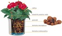 фото mini №2, Hydroponics set liner 9/ 7+ indicator h7 hobby