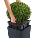 фото mini №6, Flowerpot lechuza cubico color 30 muszkat