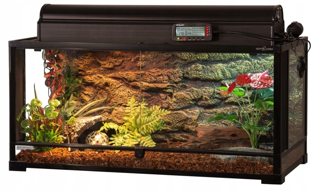 Terrarium Dla Węża Zbożowego Z Wyposażeniem TERRARIUM DLA GEKONA AGAMY KAMELEONA ŻÓŁWIA PATYCZ - 7382384080