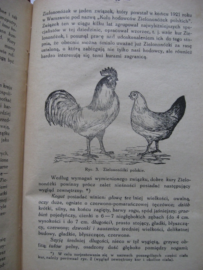 DRÓB Gospodarski chów drobiu TRYBULSKI 1925