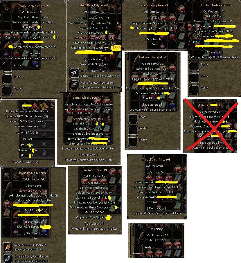 Metin 2 Tortuga EQ DROP / Sura WP na DT