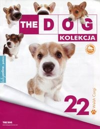 Dog Kolekcja 22 Corgi Maskotka 7739639517 Oficjalne Archiwum Allegro