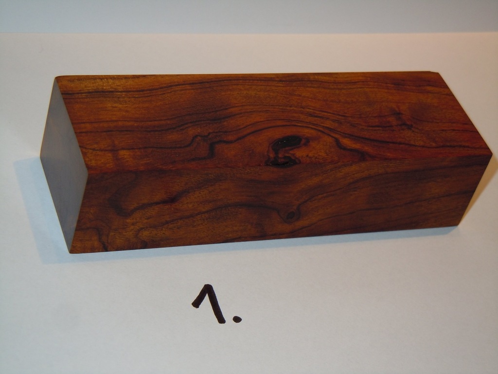 Desert ironwood - pustynne drzewo żelazne