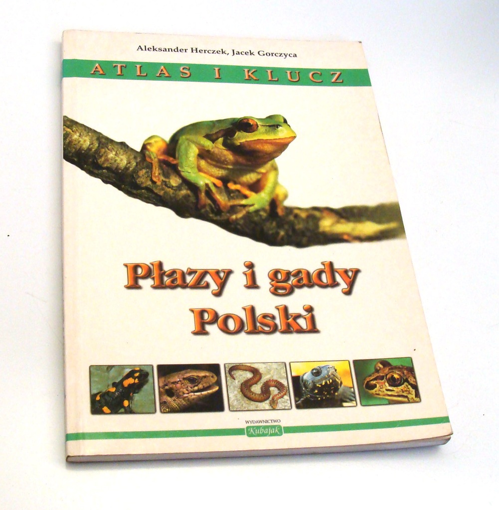 Atlas i klucz. Płazy i gady Polski Jacek Gorczyca,