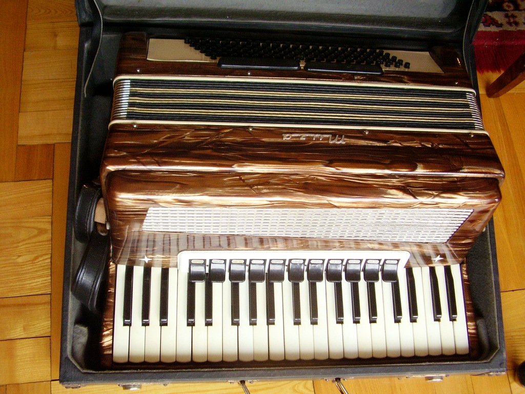 Akordeon MUZA 120 basów