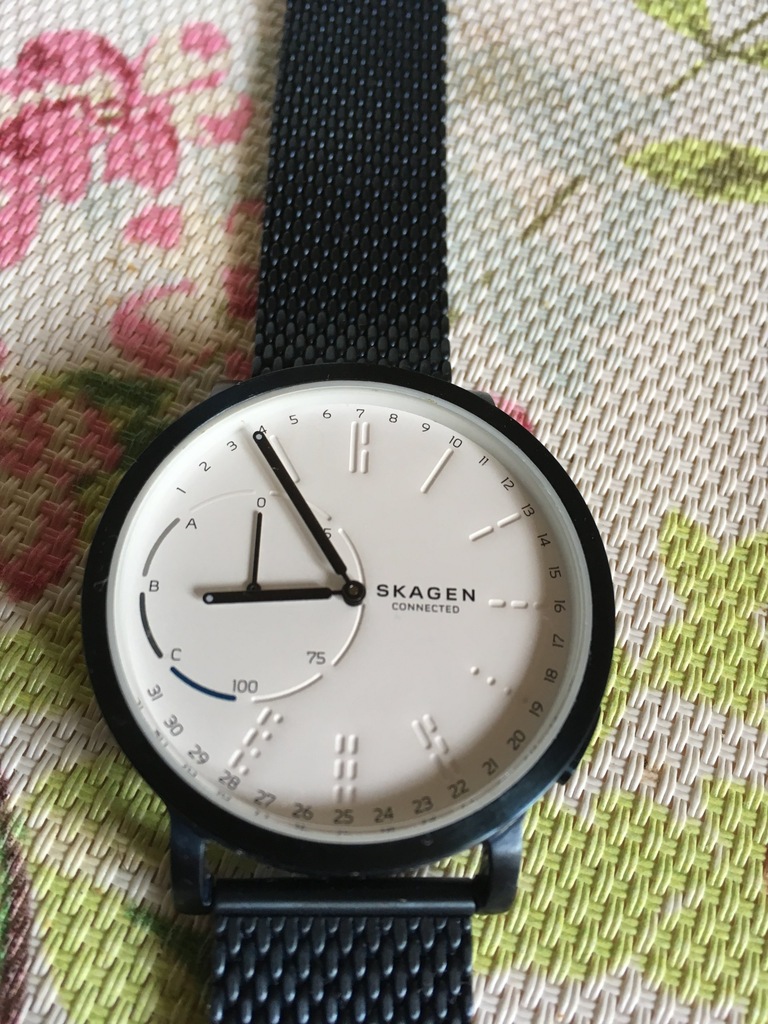 Skagen 2024 connected skt1107