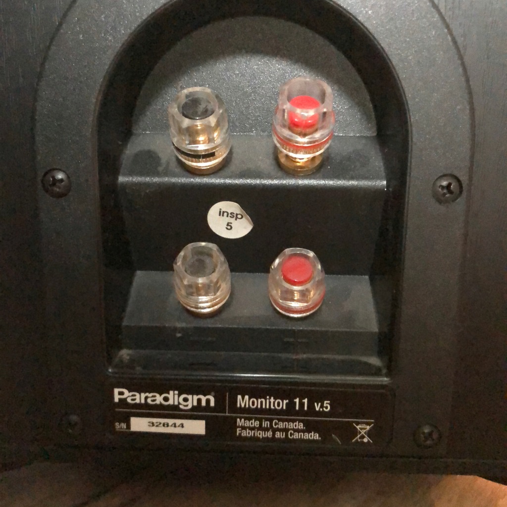 paradigm monitor 11v5