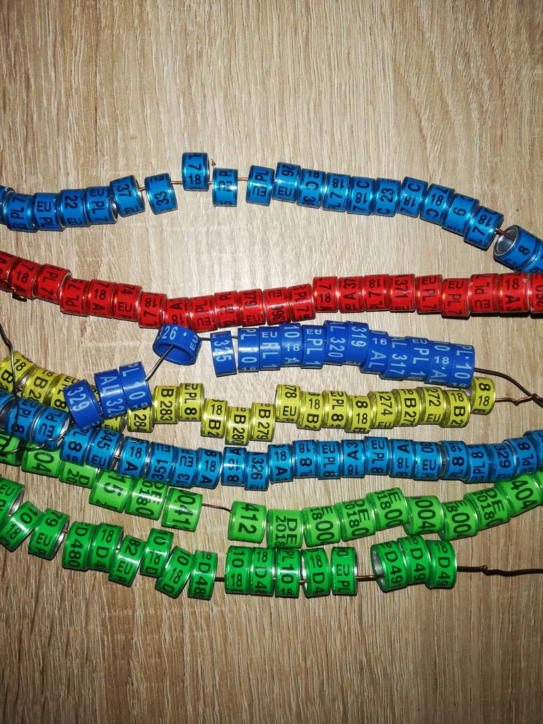 obrączki na gołębie ozdobne 2018r różne rozmiary