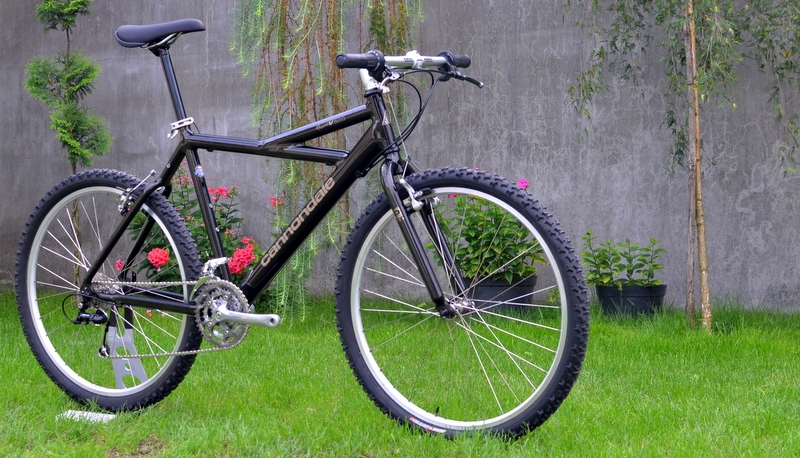 cannondale killer v 500