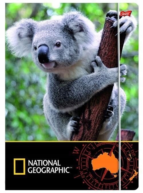 Teczka A4 z gumką National Geographic Koala