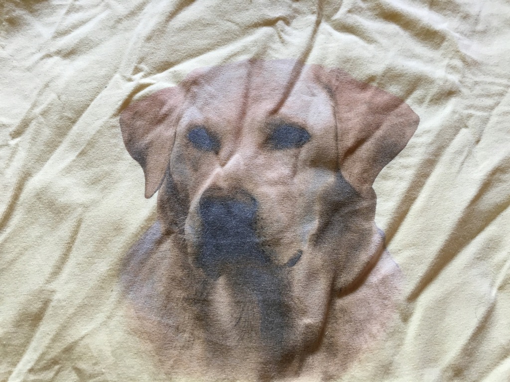 koszulka tshirt pies żółta z kac vegas filmu