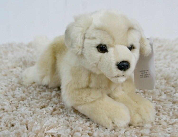 Pies Labrador Leżący Roxi - 40cm