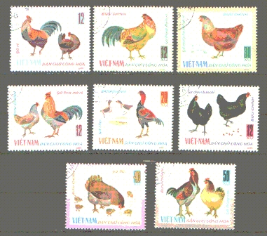 Znaczki  Ptaki domowe seria kas  Vietnam
