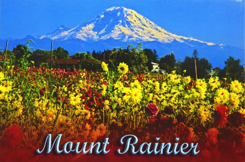 pocztówka USA Mount Rainier