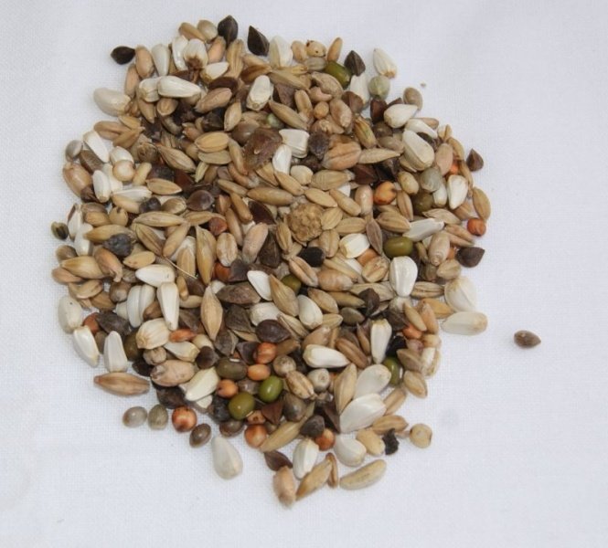 Karma Mix mieszanki do kiełkowania dla papug 1kg