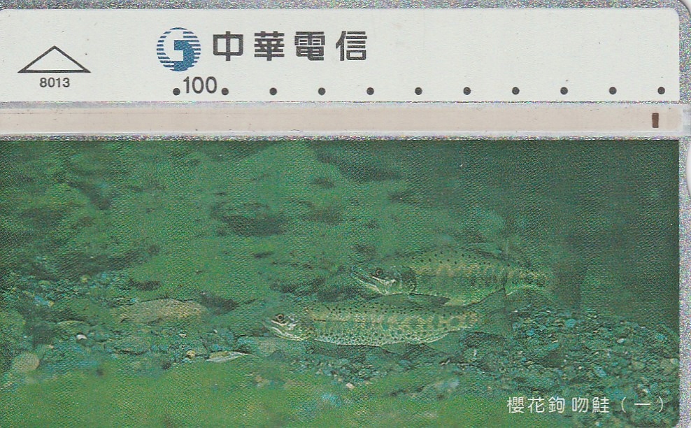 Купить Тайвань – Рыба: отзывы, фото, характеристики в интерне-магазине Aredi.ru