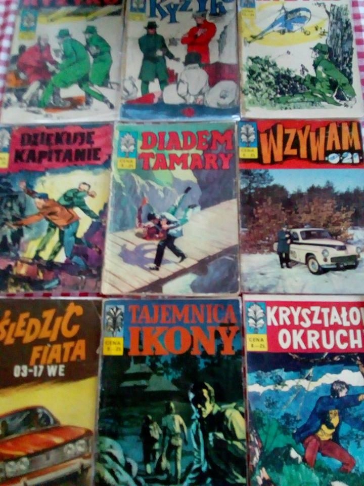 Kapitan Żbik komplet 53 części