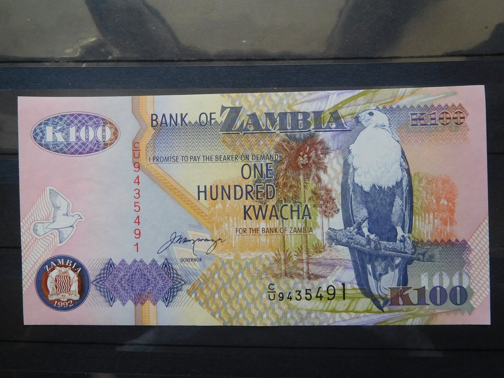 Banknot  ZAMBIA 100 Kwacha