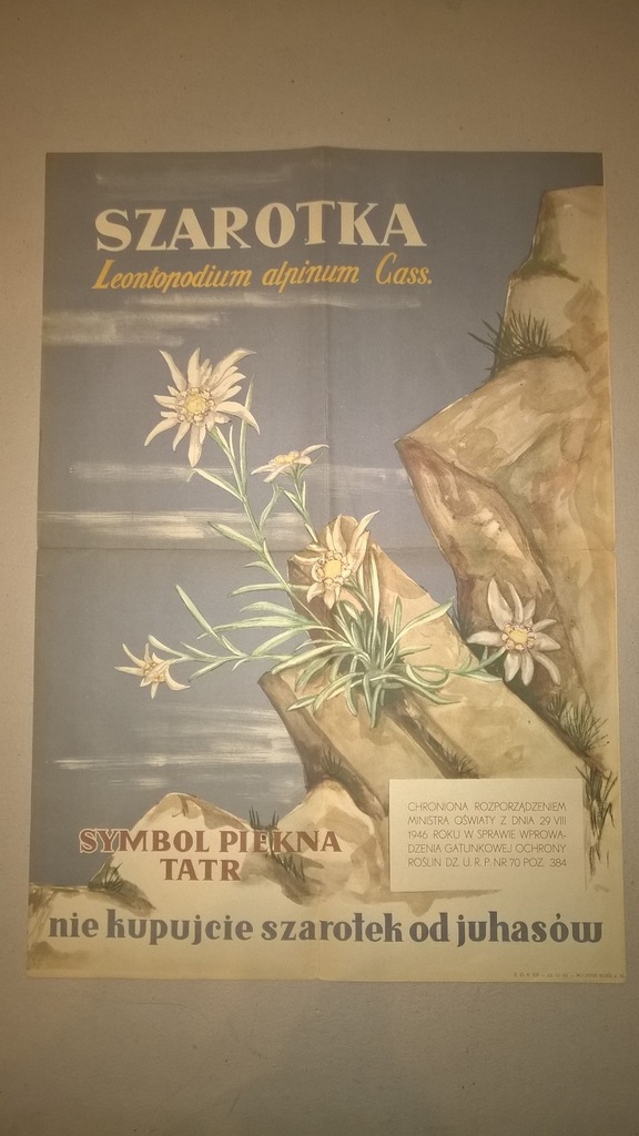 SZAROTKA - SYMBOL PIĘKNA TATR