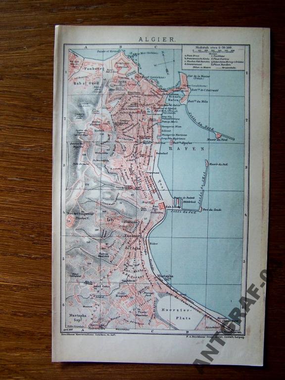 ALGIER ALGIERIA stary plan miasta 1898 r.
