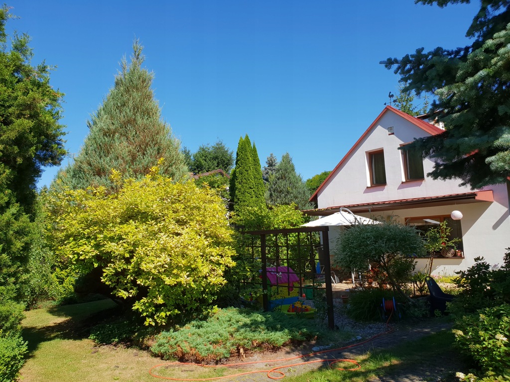 Piękna działka ROD Lipkusz (Pieczyska, Koronowo)