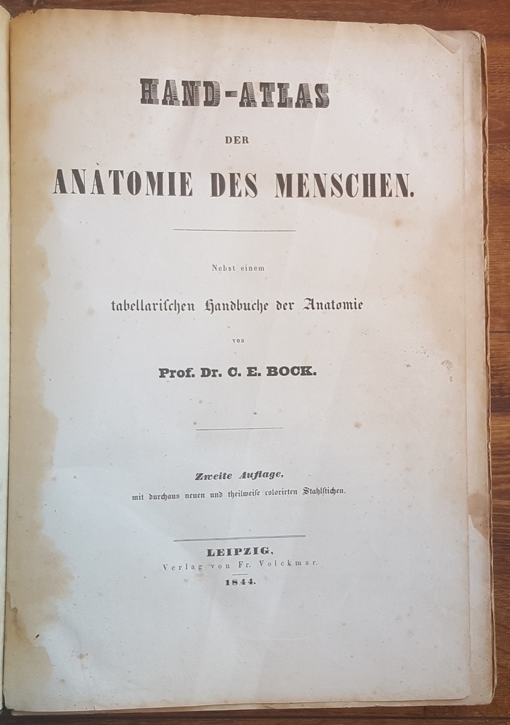 Bock Hand-Atlas der anatomie ds menschen 1844 