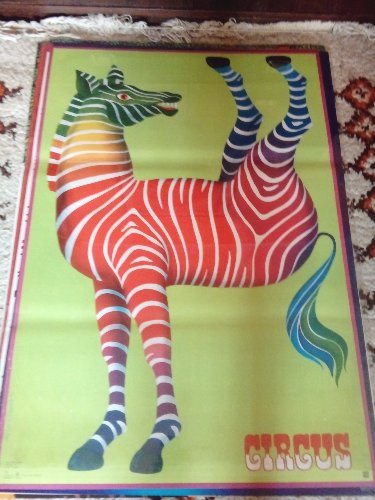 Plakat '' Zebra - akrobatka '' Hilscher