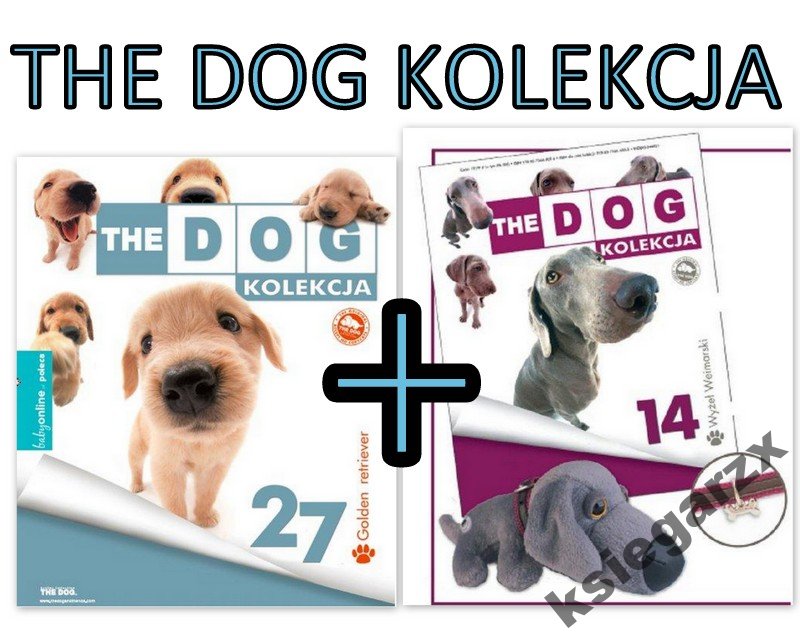 Golden Retriever+Wyżeł Wajmarski THE DOG+maskotki