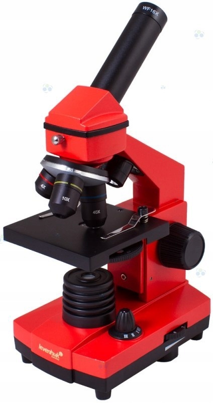 Mikroskop Levenhuk Rainbow 2L PLUS OrangePomarańcz