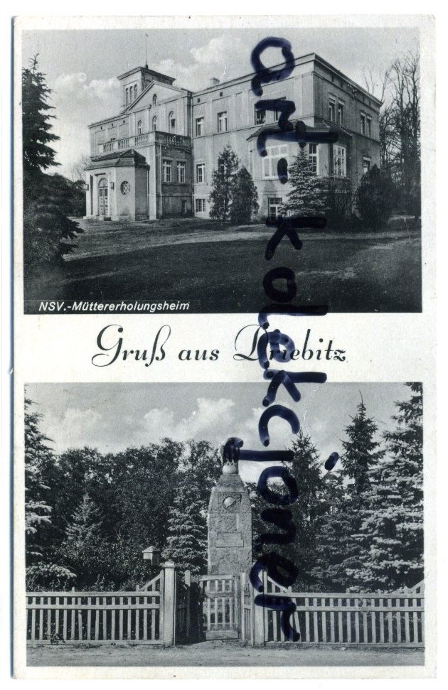 Stare Drzewce - Driebitz k.Wschowa - Pałac,Pomnik