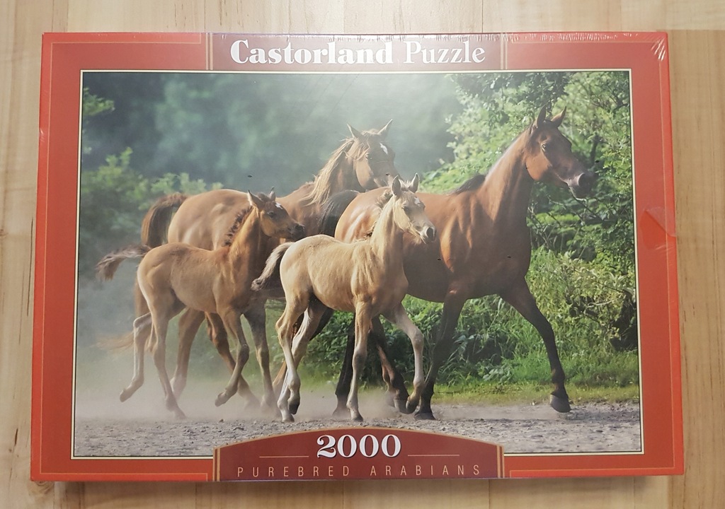 Castorland Puzzle 2000 KONIE 7717052629 oficjalne archiwum Allegro