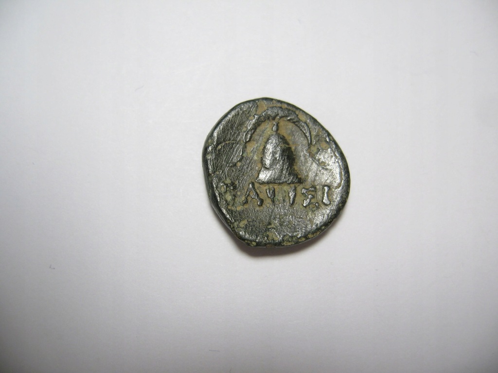 DEMETRIUSZ POLIORKETES Macedonia ANTYCZNA MONETA