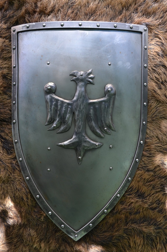 TARCZA stalowa ORZEŁ -1- starkow