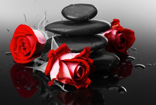 Fototapeta róże na tle kamieni akcent kolorystyczn