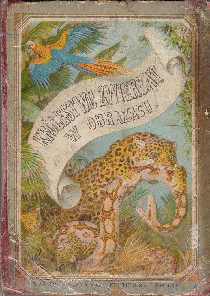 Królestwo zwierząt w obrazach ilus Leutemann 1888r